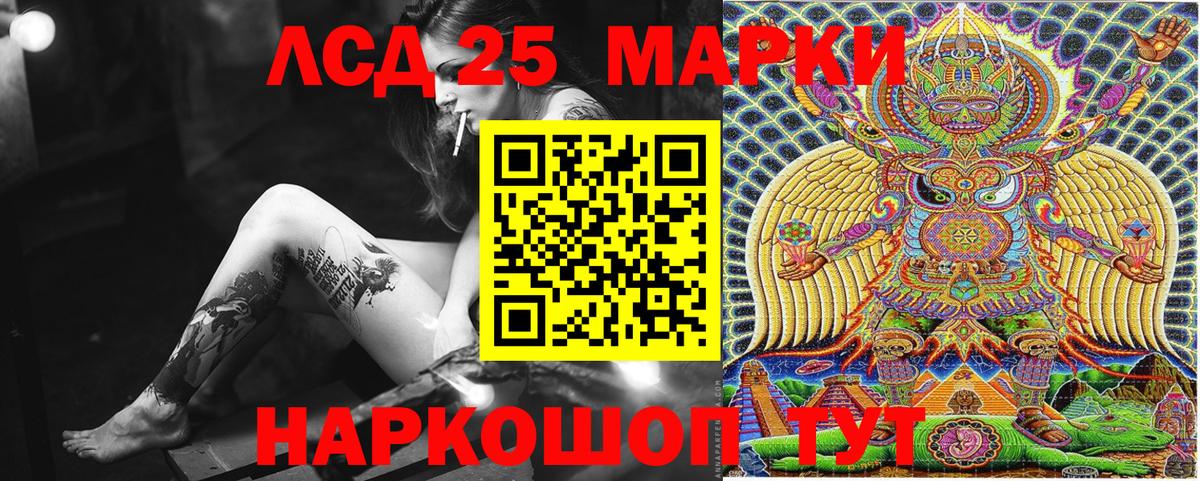 Псилоцибиновые грибы Чита