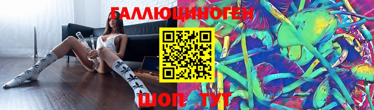 Чита  Псилоцибиновые грибы мухоморы  Галлюциногенные грибы GOLDEN TEACHER  Вход с VPN 